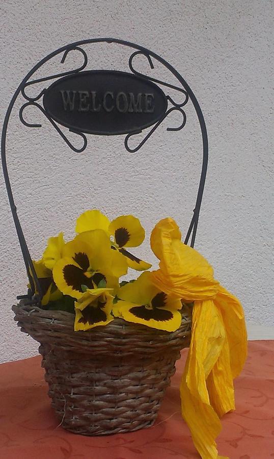 Ofer Thomas&michaela Apartment Neustift im Stubaital